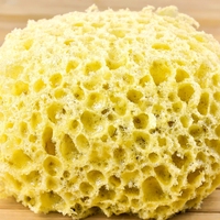 absorber