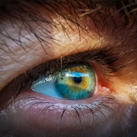 retina