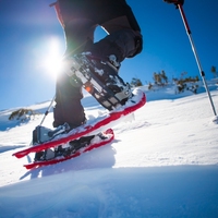snowshoe