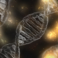 nucleotides