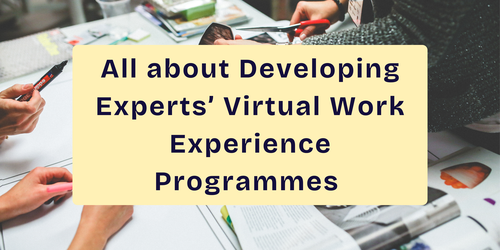 All about Developing Experts’ Virtual Work Experience Programmes