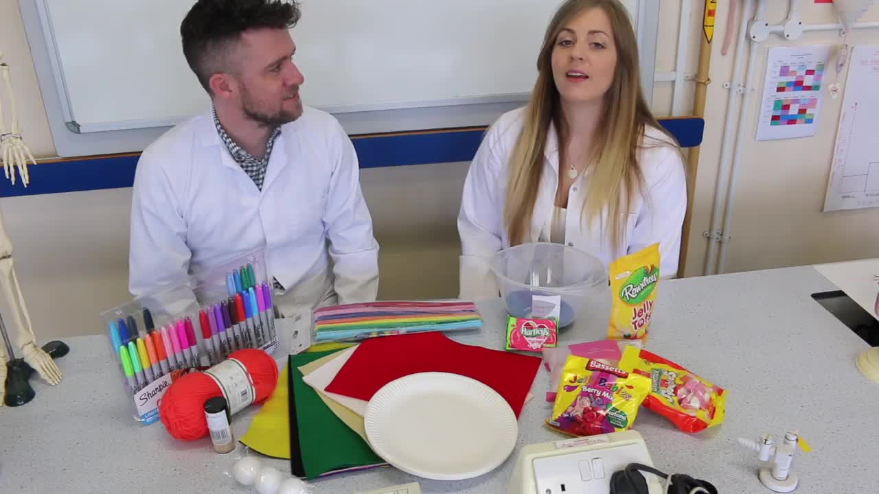 Today's Mission Assignment:  Working Scientifically, you are going to use your knowledge and understanding of plant and animal cells from today's lesson to make a model of a cell.