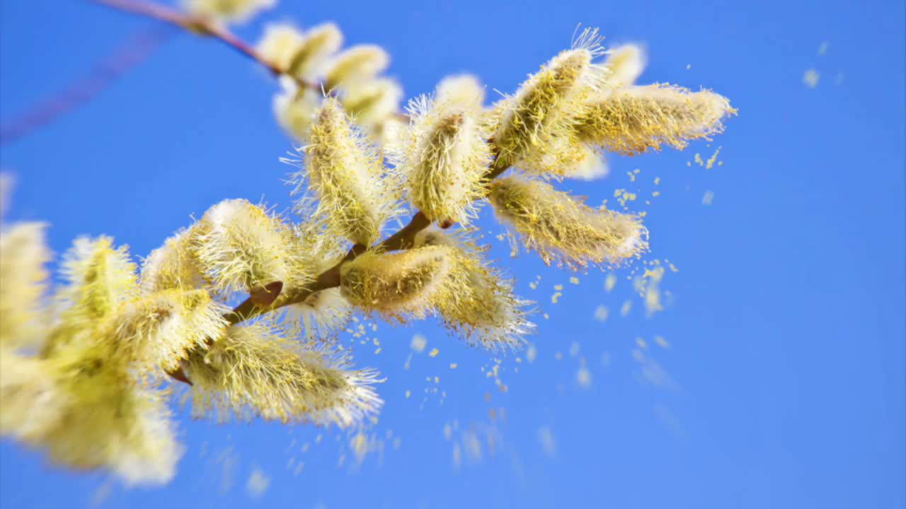 Today's Song: What actions can you create to go with today's song?